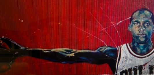 Michael Jordan (the GOAT)