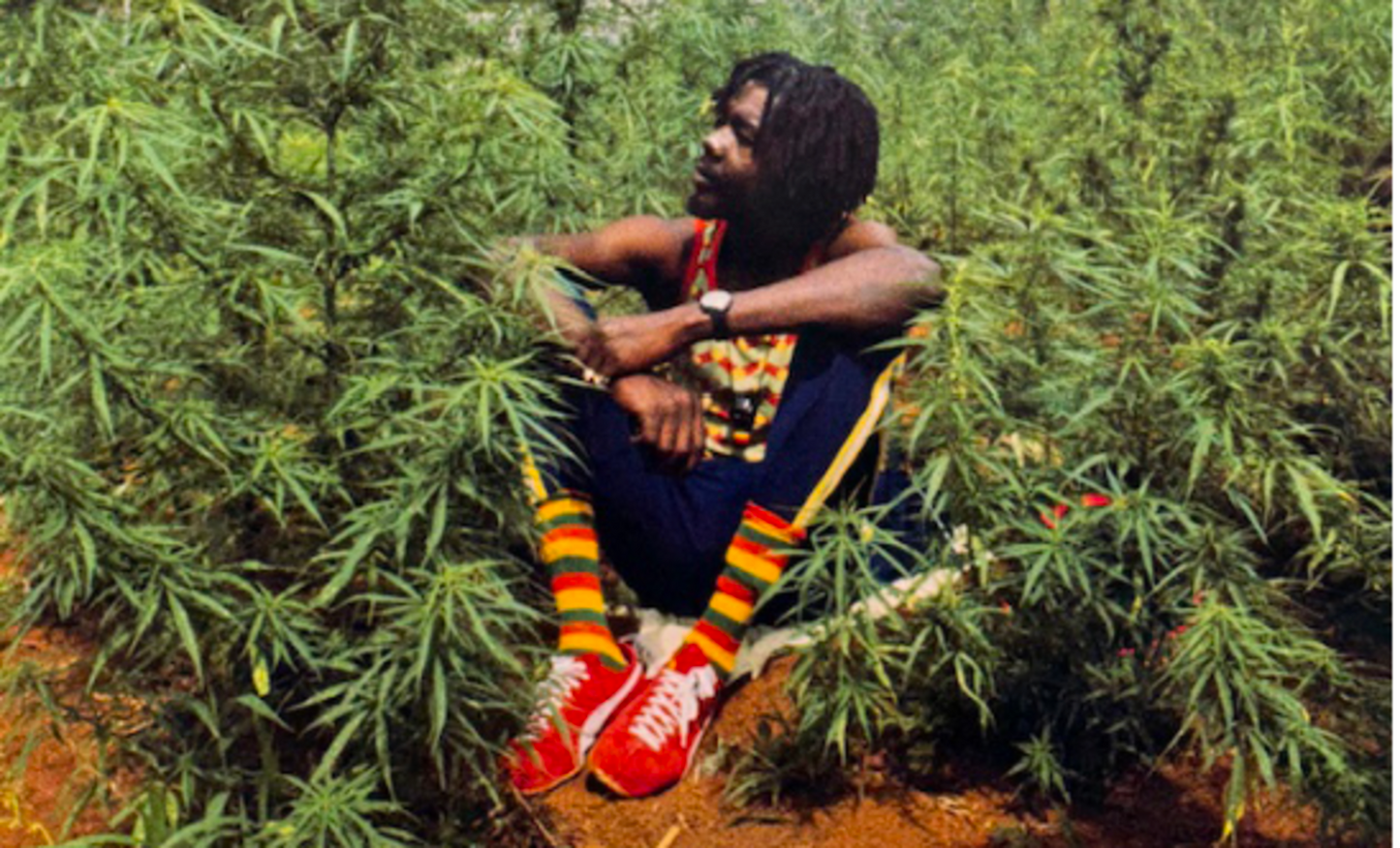 Peter Tosh: Legalize It